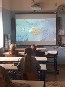 stem con wwf